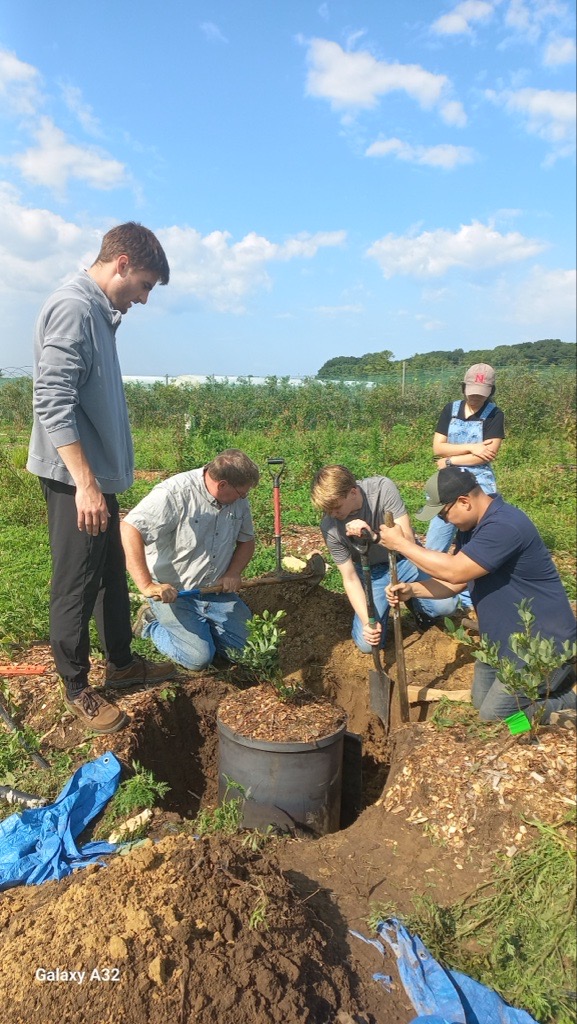 Blueberry Research Planting