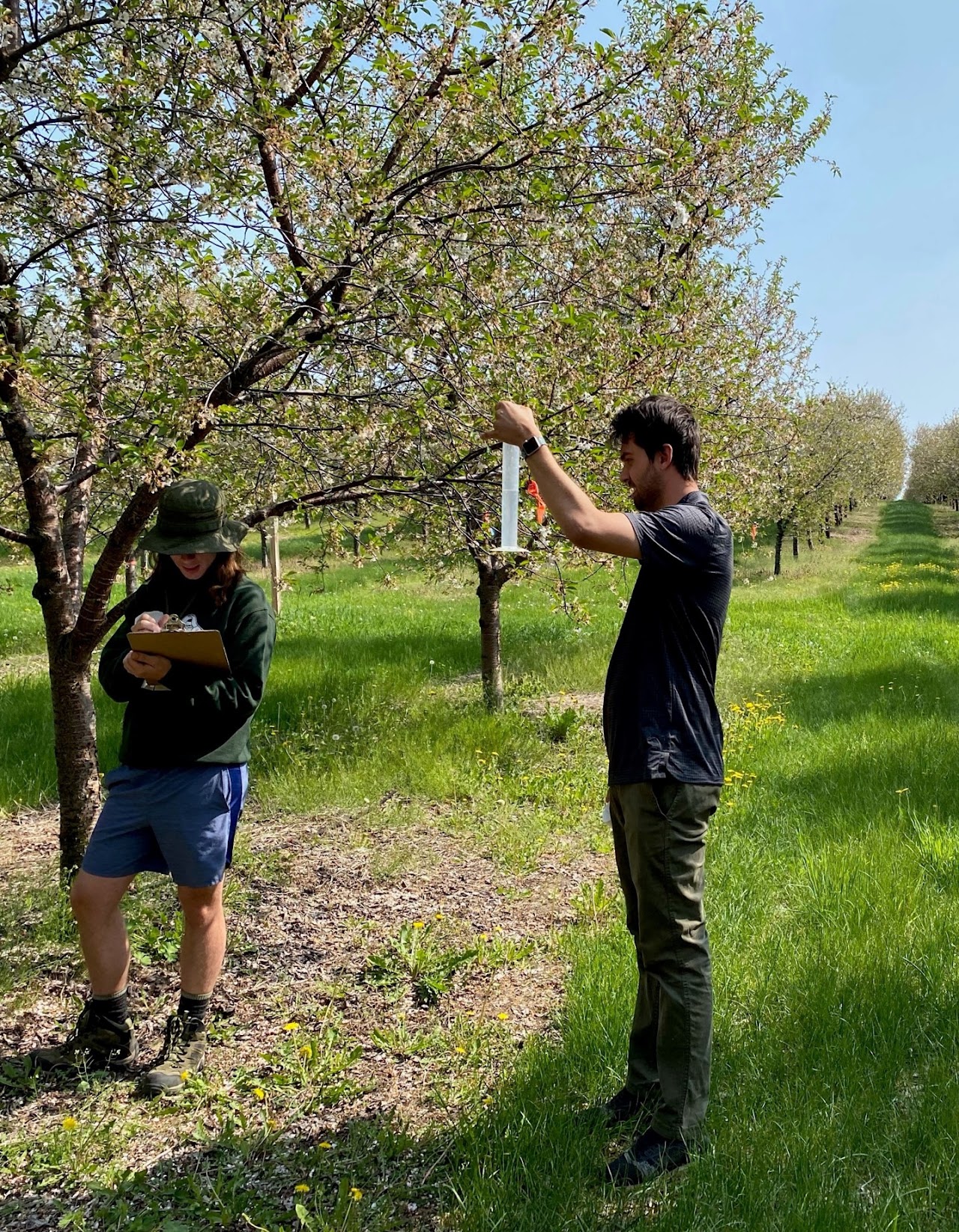 Orchard Water Sampling